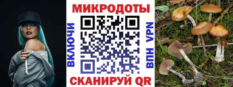 Псилоцибиновые грибы прущие грибы  Монино 